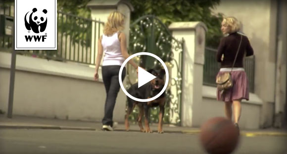 Ένας οδηγός για μια καλύτερη ζωή